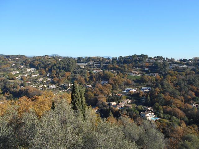 DSCN2379.jpg