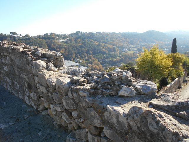 DSCN2386.jpg