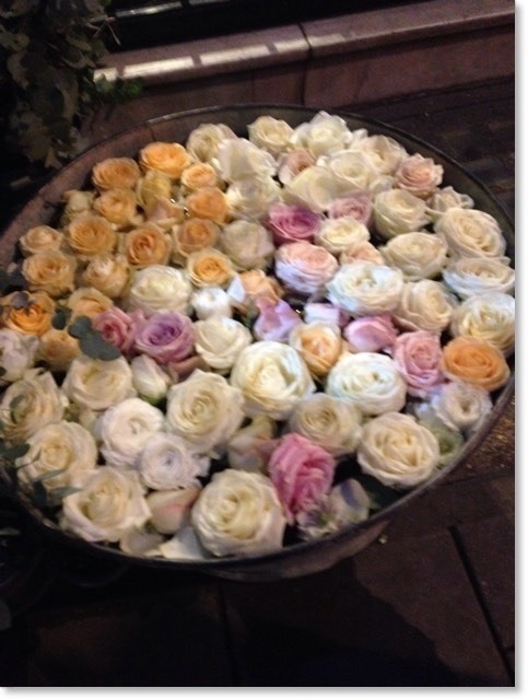 image-3da05-thumbnail2.jpg