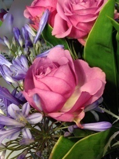 image-4ea7b-thumbnail2.jpg